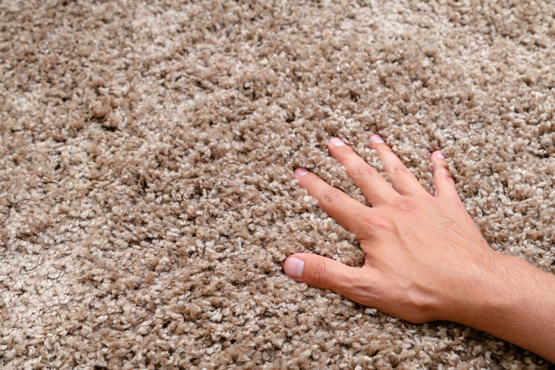 Nahaufnahme der Hand berührenweichen Teppich. Sanfter und flauschiger Teppich zwischen den Fingern.